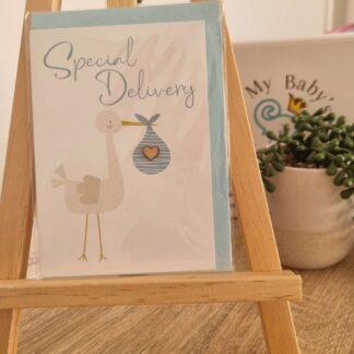 Baby Cards - Special Delivery in Blue